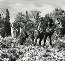  Cinéma et colonisation